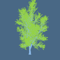 greenshift tree