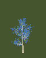 greenshift tree