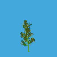 greenshift tree