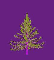 greenshift tree