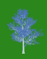 greenshift tree