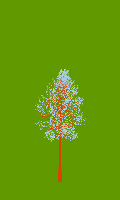 greenshift tree