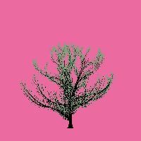 greenshift tree