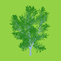 greenshift tree