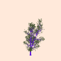 greenshift tree