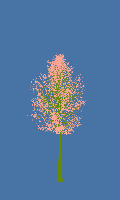 greenshift tree