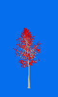 greenshift tree