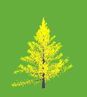 greenshift tree