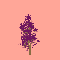 greenshift tree