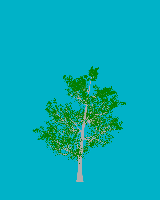greenshift tree