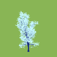 greenshift tree