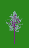 greenshift tree