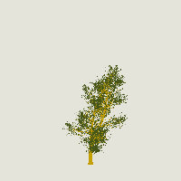 greenshift tree