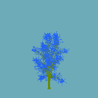 greenshift tree