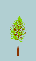 greenshift tree