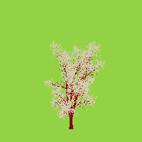 greenshift tree