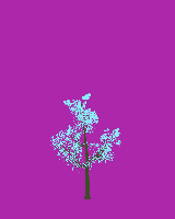 greenshift tree