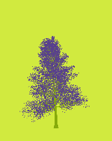 greenshift tree