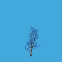 greenshift tree