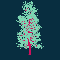 greenshift tree