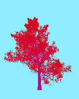 greenshift tree