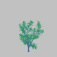 greenshift tree
