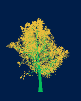 greenshift tree