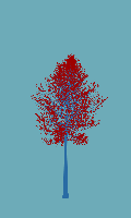 greenshift tree