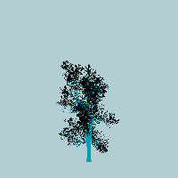 greenshift tree