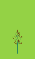 greenshift tree