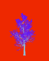 greenshift tree