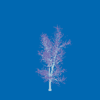 greenshift tree