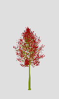 greenshift tree