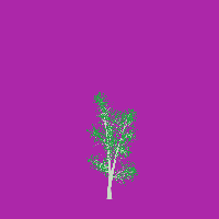 greenshift tree