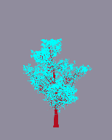 greenshift tree