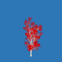 greenshift tree