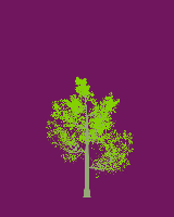 greenshift tree