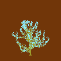 greenshift tree