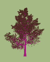 greenshift tree