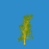 greenshift tree