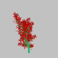 greenshift tree