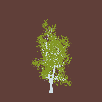 greenshift tree