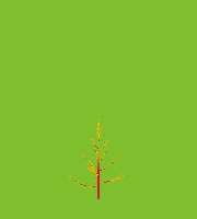 greenshift tree