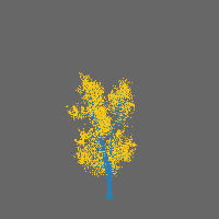 greenshift tree