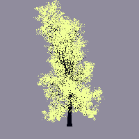 greenshift tree
