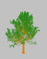 greenshift tree