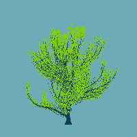 greenshift tree