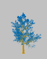 greenshift tree