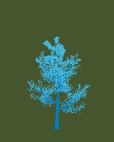 greenshift tree