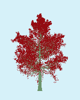 greenshift tree